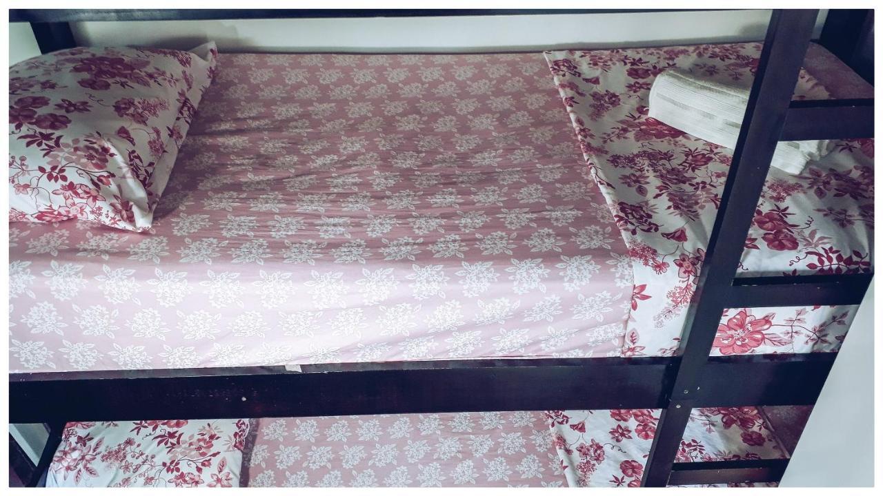 Hostel Santana - Metro Santana São Paulo Zewnętrze zdjęcie